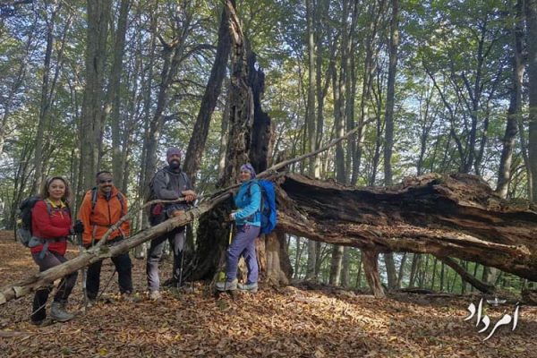 55ca6501-83f3-4c0c-8295-f921acb28872