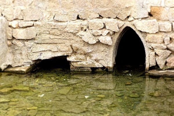 kariz1