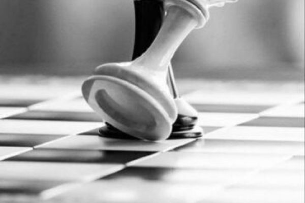 photo_2025-07-31_20-20-31-360x500